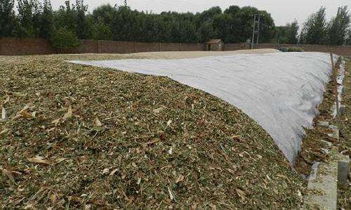 關(guān)注丨珠穆朗瑪峰成了一座“垃圾峰”？